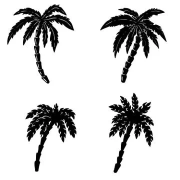 Set of hand drawn palm illustrations on white background. Design elements for Stock Illustration