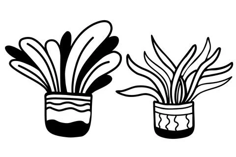 Set of hand drawn in pots illustrations, houseplants in doodle style. Vector Stock Illustration
