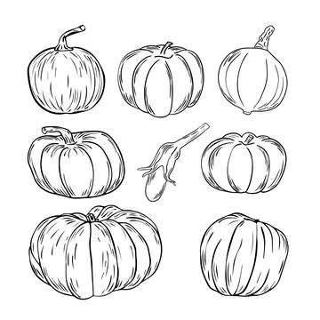 Set of hand drawn pumpkins. Sketch style icon. Decor element. Isolated on w.. Stock Illustration