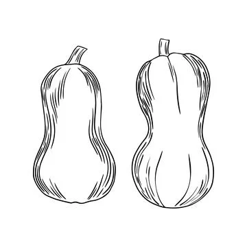 Set of hand drawn pumpkins. Sketch style icon. Decor element. Isolated on whi Stock Illustration