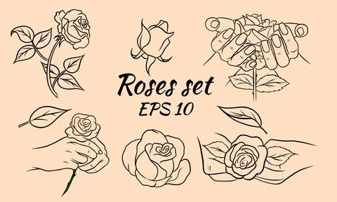 Set of hand drawn roses, rosebuds and leaves. Stock Illustration