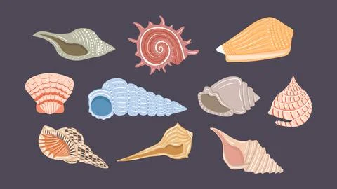 Set of hand drawn seashells. Vector design elements for print, stickers Stock Illustration