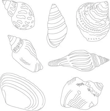 A set of hand-drawn shells. Marine kit. Illustrazione stock