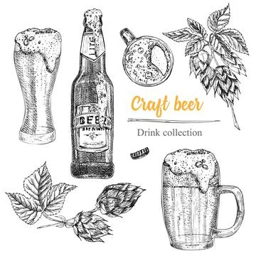 Set hand drawn sketch bottle and glasses beer, hop, wheat Vintage design bar, Illustrazione stock