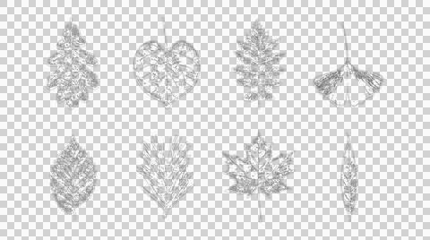 Set of hand drawn sketch leaves isolated on white background for botanical .. イラスト素材