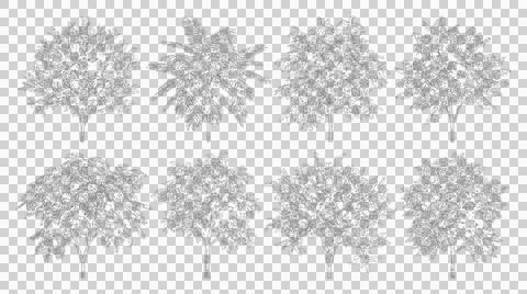 Set of hand drawn sketch trees isolated on white background for architectur.. Stock Illustration