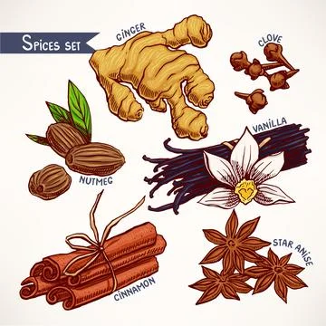 Set with hand-drawn spices Stock Illustration