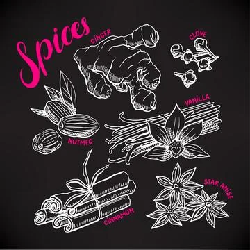 Set with hand-drawn spices Stock Illustration