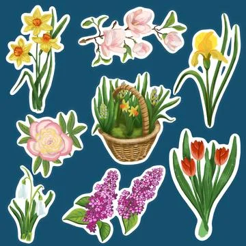 Set of hand drawn spring flower stickers: snowdrops, daffodils, tulips, magnolia Stock Illustration