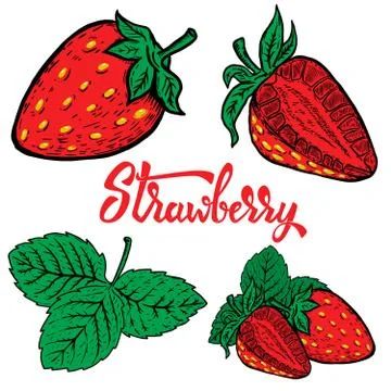 Set of Hand drawn strawberry. Design elements for logo, label, e Stock Illustration