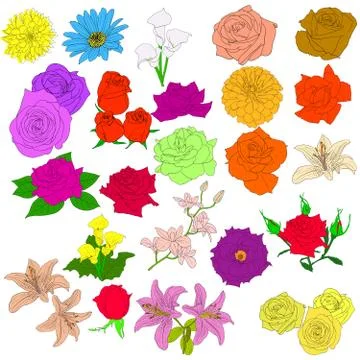 Set of  in hand drawn style roses. vector eps 10 illustration. Illustrazione stock