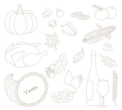 Set of hand drawn Thanksgiving elements in modern line style on Stock Illustration