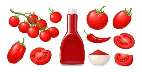 Set of hand drawn tomatoes. Branch, whole and slice. Illustrazione stock