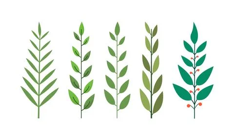 Set of hand drawn tropical branches leaves Stock Illustration