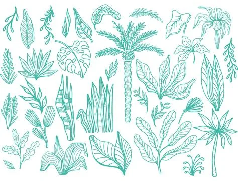 Set of hand drawn tropical leaves Stock Illustration