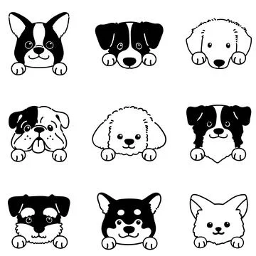 Set of hand drawn various cute dog faces with paws only outlines Stock Illustration