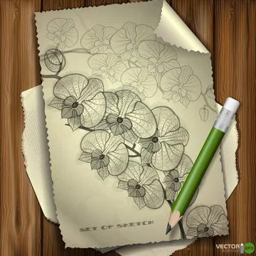 Set of Hand Drawn Various Elements Set of Hand Drawn Various Elements On O... Stock Photos