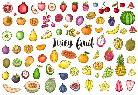 Set of hand drawn vector doodle fruit Stock Illustration