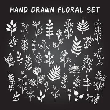 Set of hand-drawn vector floral elements with leaves and flowers Stock Illustration