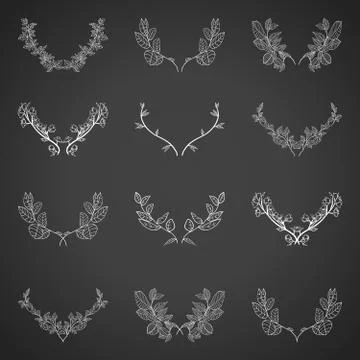 Set of hand drawn vector floral elements. Stock Illustration