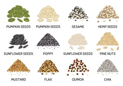 Set of hand drawn vector handful of seeds Stock Illustration