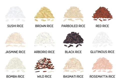 Set of hand drawn vector handful of rice Stock Illustration