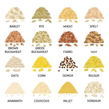 Set of hand drawn vector handful of grains and cereals Stock Illustration