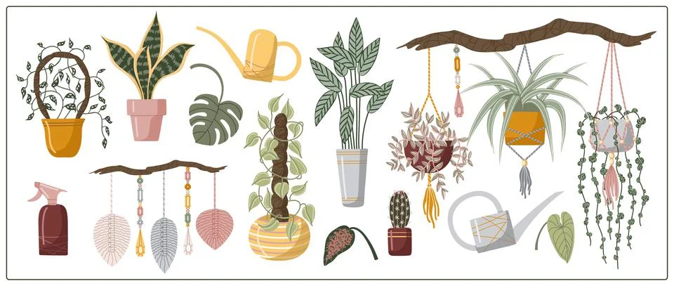 Set hand drawn vector isolated elements of houseplant. A flower in a pot. イラスト素材