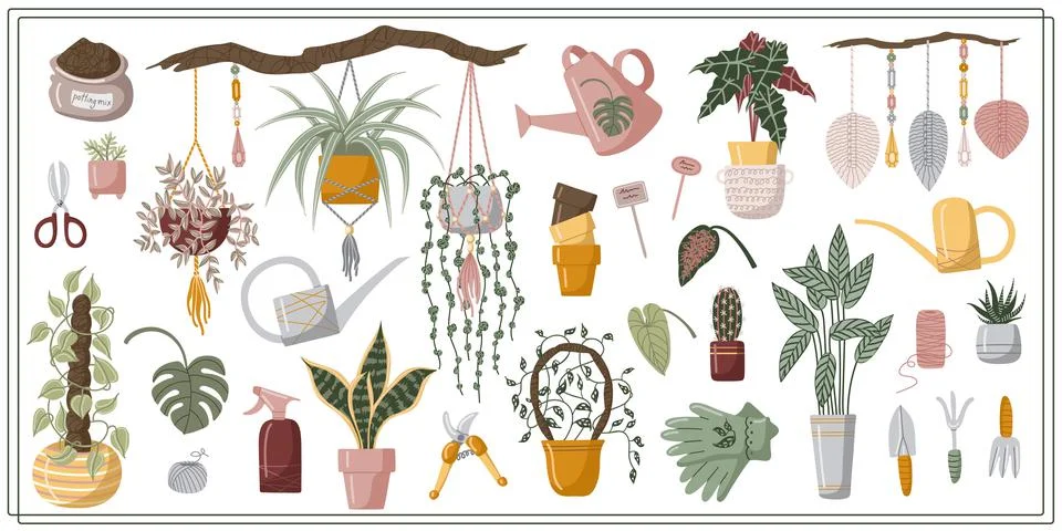 Set hand drawn vector isolated elements of houseplant. A flower in a pot. Stock Illustration