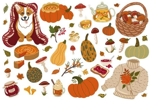 Set hand drawn vector isolated elements of Autumn time. Pumpkin. Mushrooms... Illustrazione stock