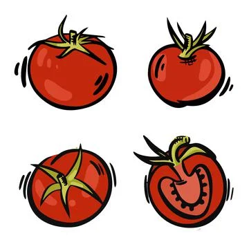 Set of hand-drawn vector tomatoes. Fresh red tomatoes in vintage style Stock Illustration