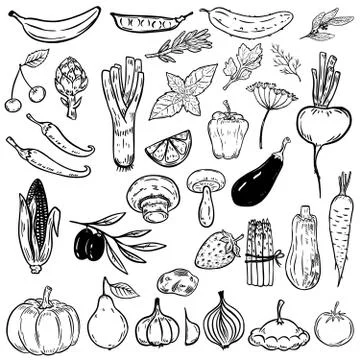 Set of hand drawn vegetables and fruits. Design elements for pos Stock Illustration