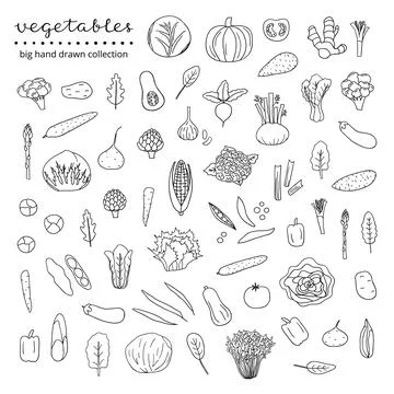 Set of hand drawn vegetables. Stock Illustration