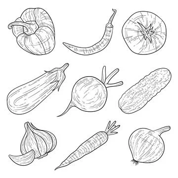 Set of hand-drawn vegetables ink style Stock Illustration