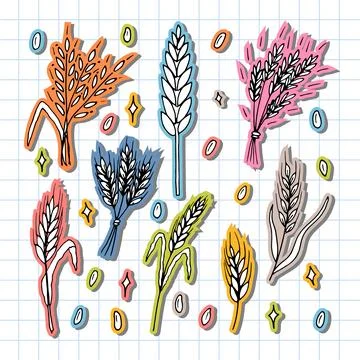 Set of hand drawn wheat ears. Grain spikelets. Doodle, sketch. Bakery desig.. Stock Illustration