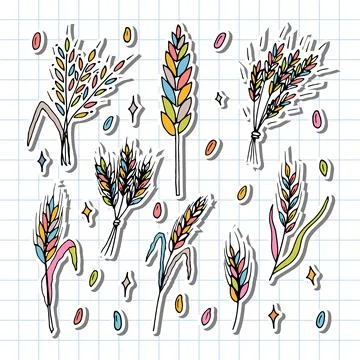 Set of hand drawn wheat ears. Grain spikelets. Doodle, sketch. Bakery desig.. Stock Illustration