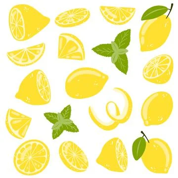 Set of hand drawn whole, half, sliced lemon. vector illustration of fresh tasty Stock Illustration