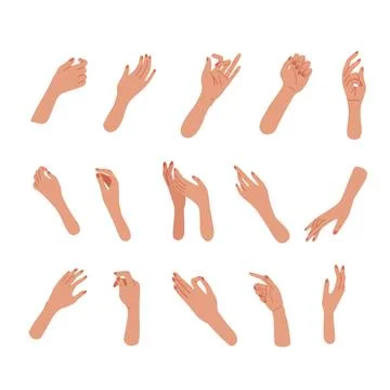 Set of Hand gestures in different positions. Elegant Female nahds palms. Vector Stock Illustration