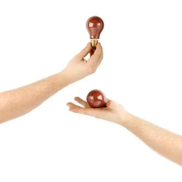 Set of hand holding a bulb, composition isolated over the white background Stock Photos