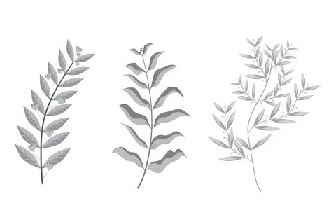 Set of Handdrawn abstract natural leafs botnical design, art floral element.. Stockillustratie