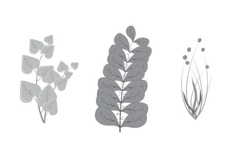 Set of Handdrawn abstract natural leafs brunch botnical design, art floral .. Ilustração Stock