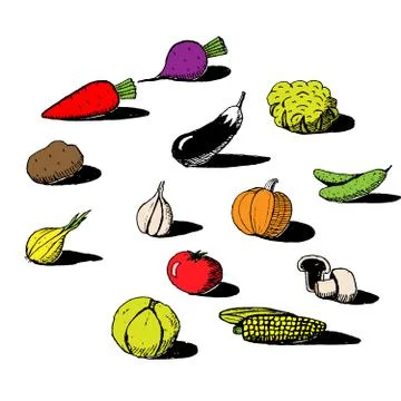 Set of handdrawn vegetables in sketch style Stock Illustration