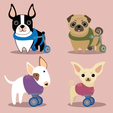 Set of handicapped disabled dogs Stock Illustration