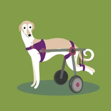 Set of handicapped disabled dogs Stock Illustration
