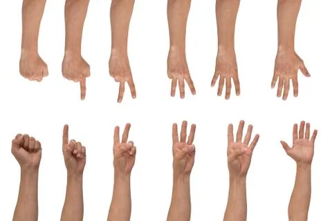 Set of hands counting from zero to five isolated on white background. Stock Photos