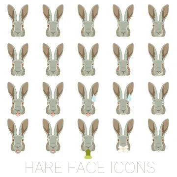 Set of Hare faces Stock Illustration