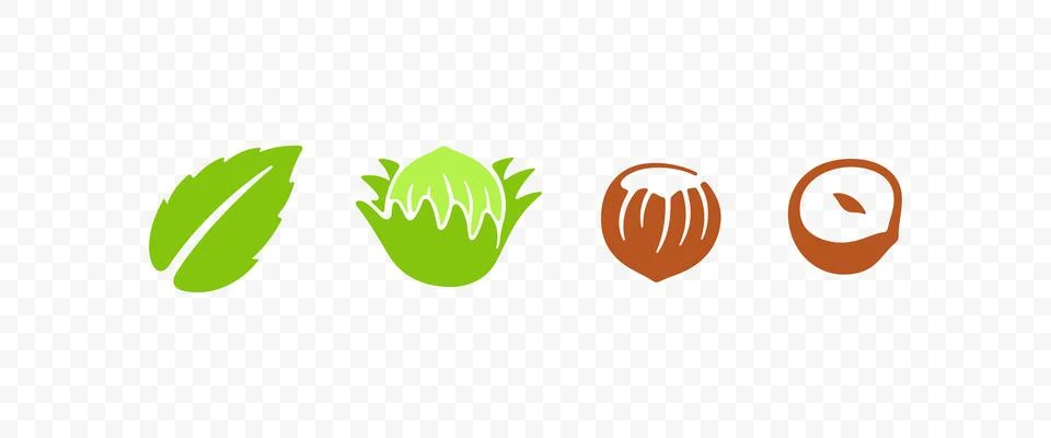 Set hazelnut, filbert, cobnut, nut, leaves and plant, graphic design Stock Illustration
