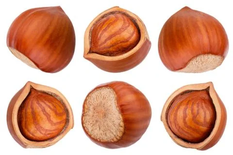 Set of hazelnut isolated on white background Stock Photos