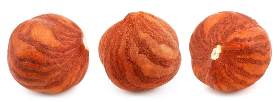 Set of hazelnut isolated on white background Stock Photos