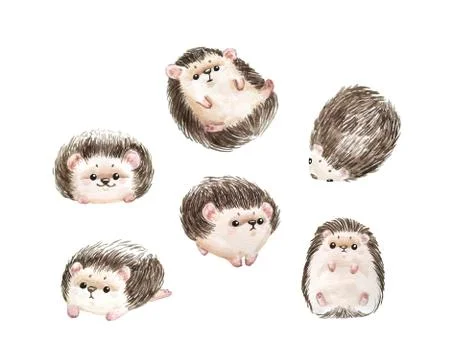 Set of hedgehogs. Natural background with cute watercolor cartoon character. - Stock Illustration